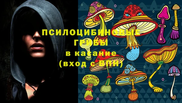 бошки Володарск