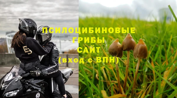 бошки Володарск
